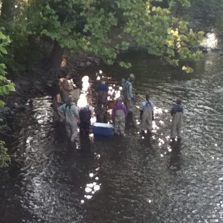 MSU students collecting samples in the Red Cedar River